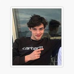 LOUIS PARTRIDGE Transparent Sticker