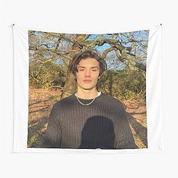 Louis Partridge Tapestry