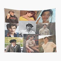 Louis Partridge Tapestry