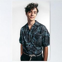 Louis Partridge Modeling Poster