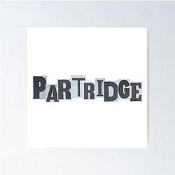 Louis Partridge Poster