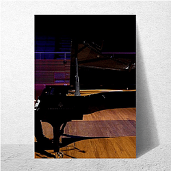 Ludovico Einaudi Pure Calm Ludovico Einaudi Posters