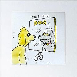 Mac Demarco This Old Dog Tee Poster