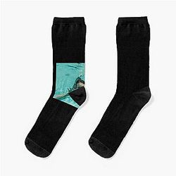 Mac Demarco Swim Poster Socks