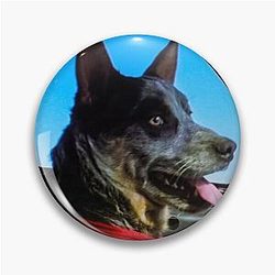 MAD MAX DOG Pin