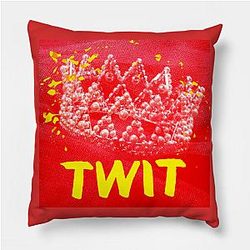 Mamamoo Pillows - Maria kpop TP0708
