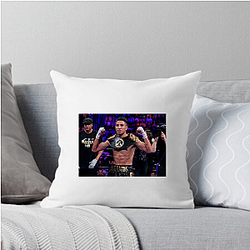 Barrios Spirit Mario Barrios Pillows Cover