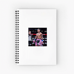 Barrios Power Mario Barrios Notebook