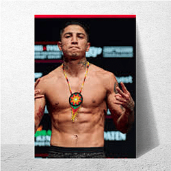 Team Barrios Mario Barrios Posters