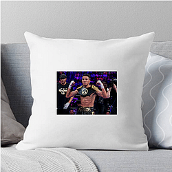 Barrios Spirit Mario Barrios Pillows Cover