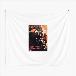 Marvin Gaye's hit song is I Heard It Through the Grapevine Marvin Gaye Tapestries