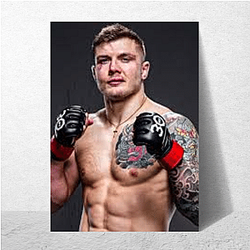 MMA Icons Marvin Vettori Posters