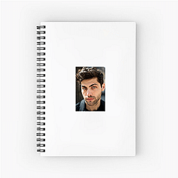 Matthew Daddario's career began in the early 2010s Matthew Daddario Notebook