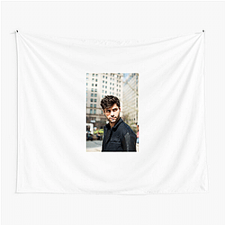 Matthew Daddario also appeared in the film Naomi and Ely's No Kiss List Matthew Daddario Tapestries