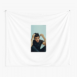 Matthew Daddario is famous for his role in the series Shadowhunters Matthew Daddario Tapestries