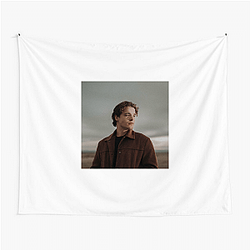 Max McNown is from Arizona Max Mcnown Tapestries
