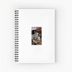 Max McNown gained popularity on TikTok Max Mcnown Notebook