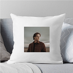 Max McNown is from Arizona Max Mcnown Pillows Cover
