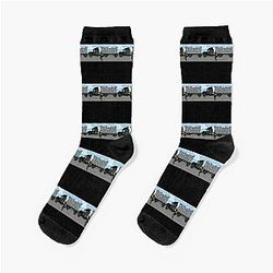 Mr. Mayhem Socks