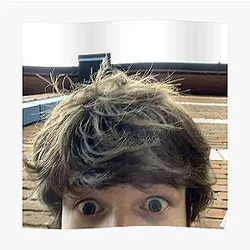 Tubbo Posters - Tubbo Poster RB1506