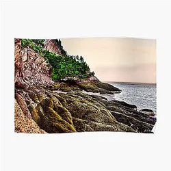 Fundy Posters - Fundy Poster RB1507