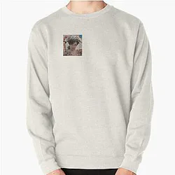 Eret Sweatshirts - Eret  Pullover Sweatshirt RB1507