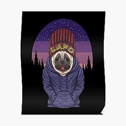 Quackity Posters - Quackity beanie Poster RB2905