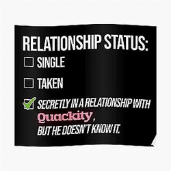 Quackity Posters - Relationship with Quackity Poster RB2905