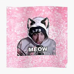 Quackity Posters - Quackity catboy meow Poster RB2905