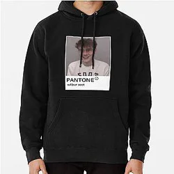 Wilbur Soot Hoodies - Wilbur Soot Soft Pantone Pullover Hoodie RB2605