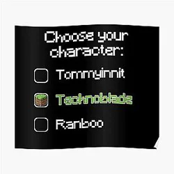 Technoblade Posters - Choose your character (2) Poster RB0206