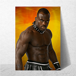 Fearless Spirit Melvin Manhoef Posters