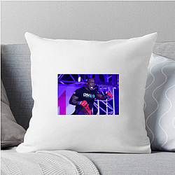 Cage Veteran Melvin Manhoef Pillows Cover