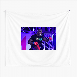 Cage Veteran Melvin Manhoef Tapestries
