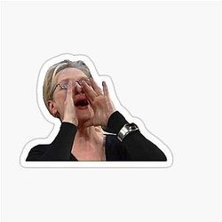 Meryl Streep Meme Sticker
