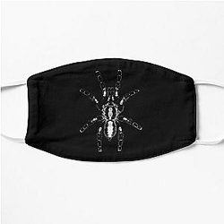 Poecilotheria metallica arte grafica Maschera piana RB1608