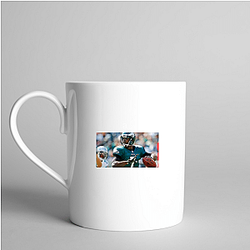 Game Manager Michael Vick Mugs