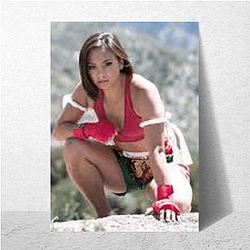 Michelle Waterson Fan Art Michelle Waterson Posters