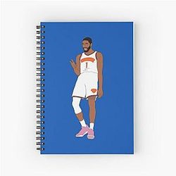 Mikal Bridges Knicks Notebook