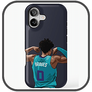 Miles Bridges Cases