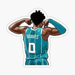 Miles Bridges Back(firstName removed, only kept "Bridges")