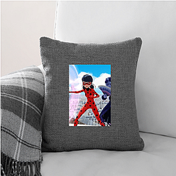 Miraculous's heroes are Ladybug and Cat Noir Miraculous Pillows Cover