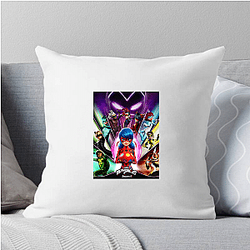 Miraculous's main characters are Marinette and Adrien Miraculous Pillows Cover