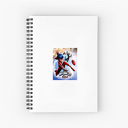 Miraculous's villains are called Akumas Miraculous Notebook