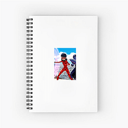 Miraculous's heroes are Ladybug and Cat Noir Miraculous Notebook
