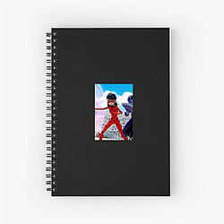 Miraculous's heroes are Ladybug and Cat Noir Miraculous Notebook
