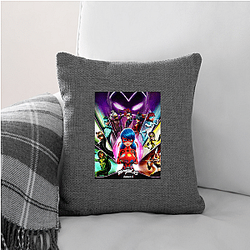 Miraculous's main characters are Marinette and Adrien Miraculous Pillows Cover