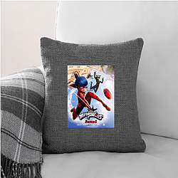 Miraculous's villains are called Akumas Miraculous Pillows Cover