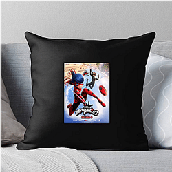 Miraculous's villains are called Akumas Miraculous Pillows Cover