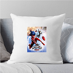 Miraculous's villains are called Akumas Miraculous Pillows Cover